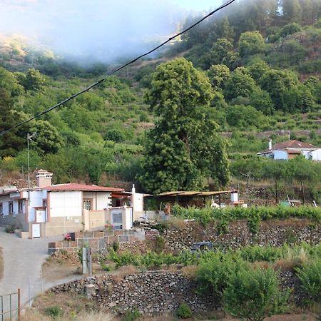 大加那利岛拉斯帕尔马斯Finca El Cole别墅 外观 照片