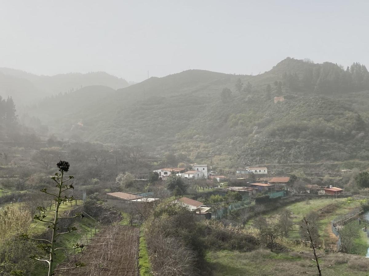 大加那利岛拉斯帕尔马斯Finca El Cole别墅 外观 照片
