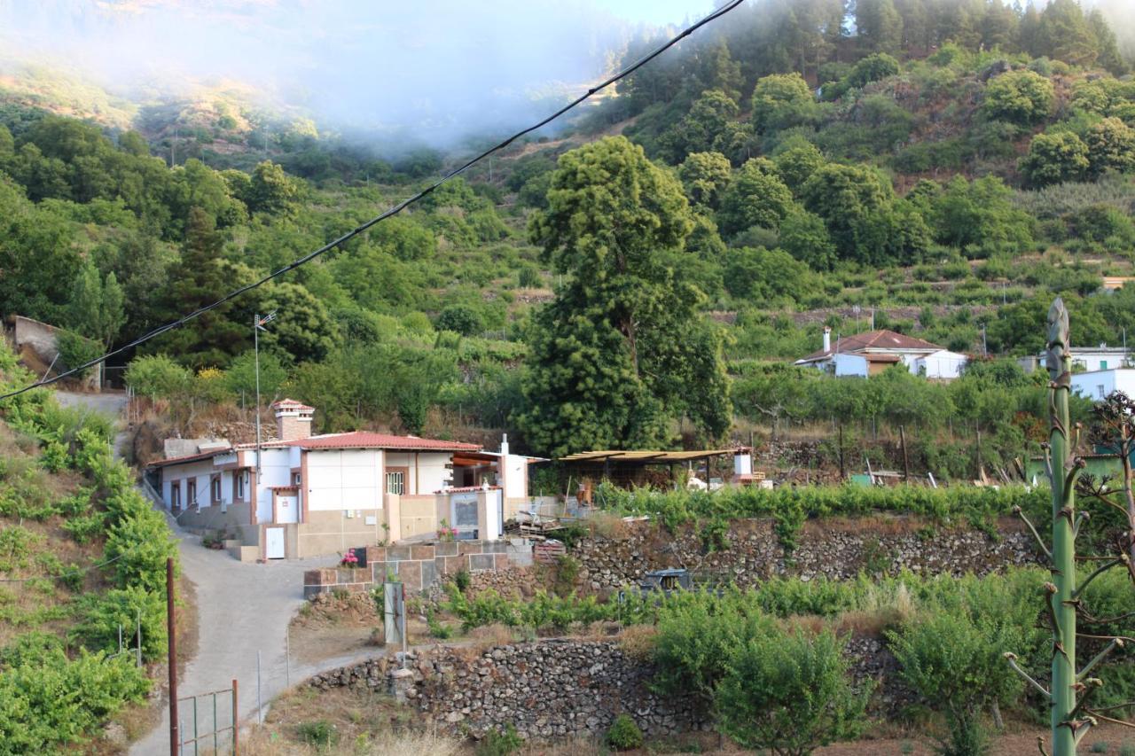 大加那利岛拉斯帕尔马斯Finca El Cole别墅 外观 照片
