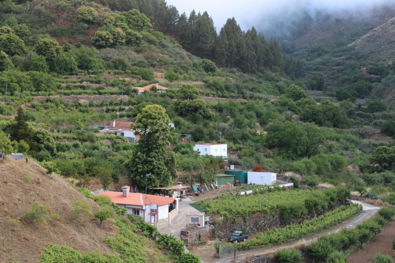 大加那利岛拉斯帕尔马斯Finca El Cole别墅 外观 照片