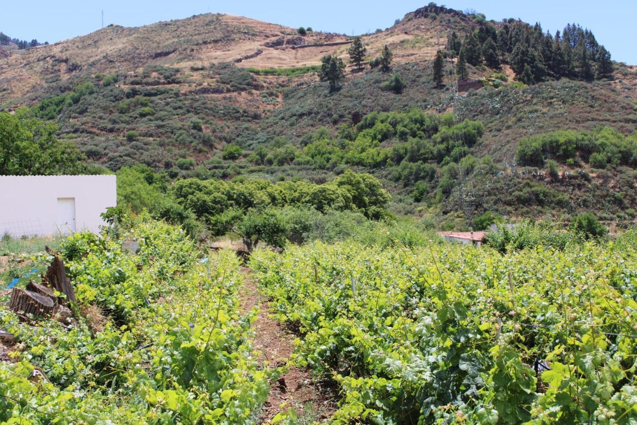 大加那利岛拉斯帕尔马斯Finca El Cole别墅 外观 照片
