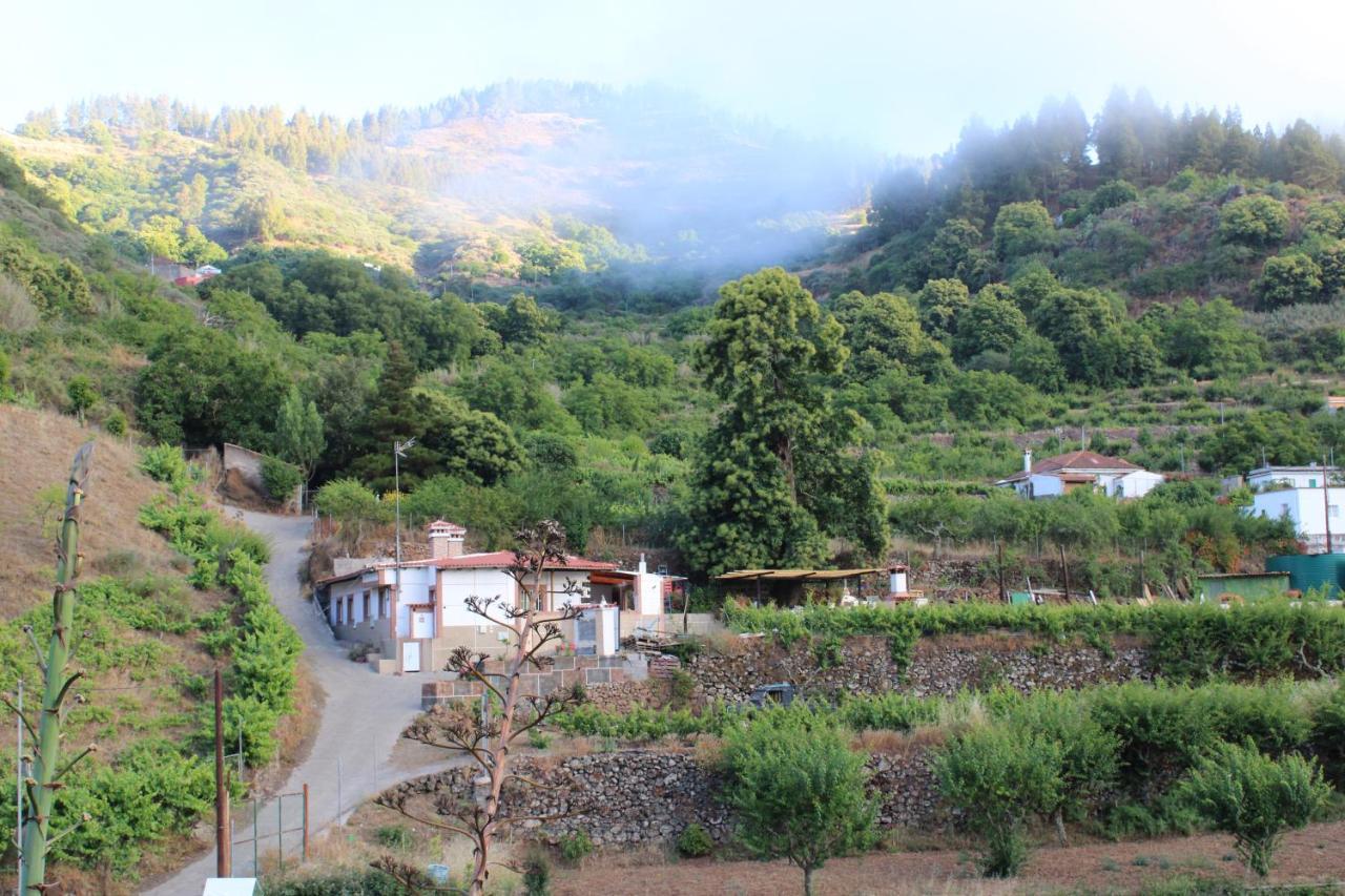 大加那利岛拉斯帕尔马斯Finca El Cole别墅 外观 照片