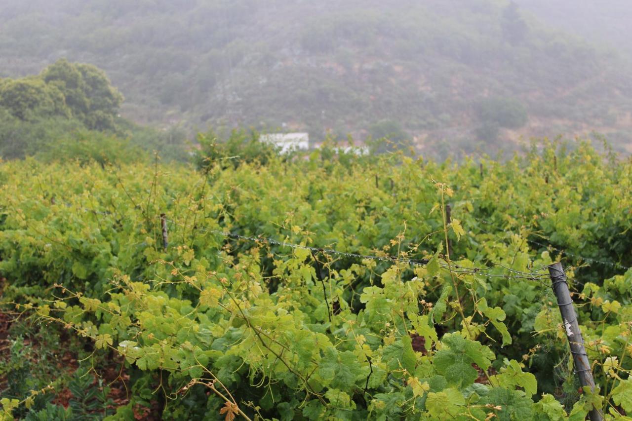 大加那利岛拉斯帕尔马斯Finca El Cole别墅 外观 照片