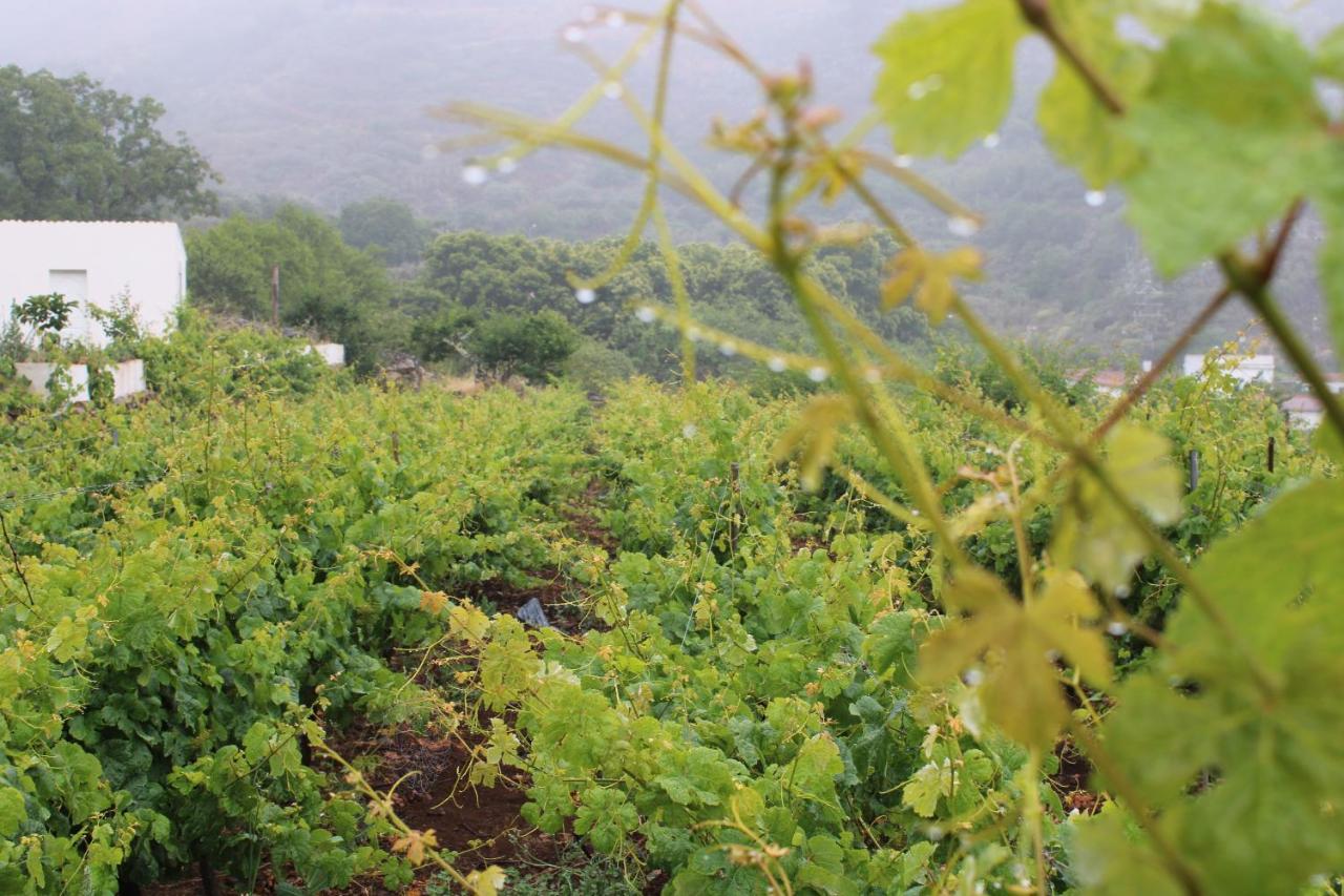 大加那利岛拉斯帕尔马斯Finca El Cole别墅 外观 照片
