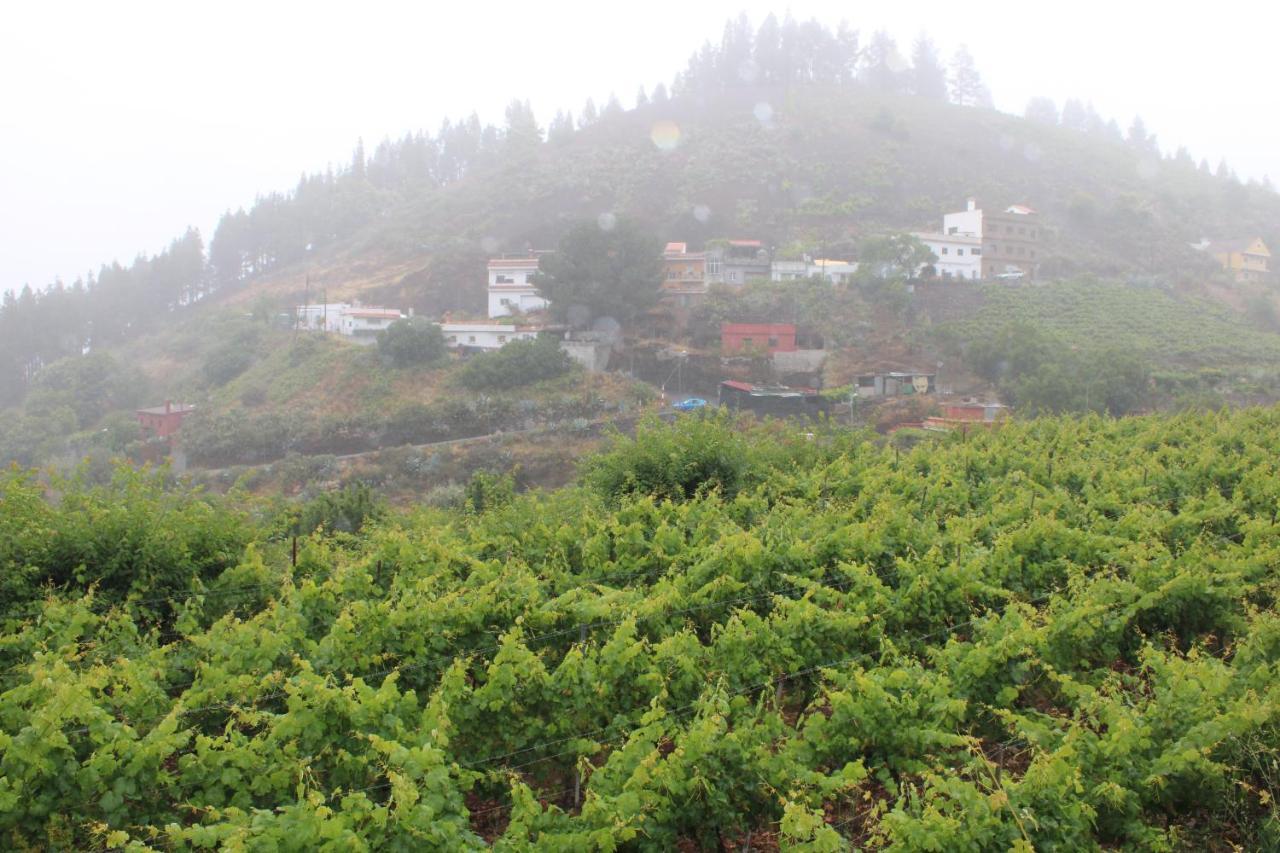 大加那利岛拉斯帕尔马斯Finca El Cole别墅 外观 照片