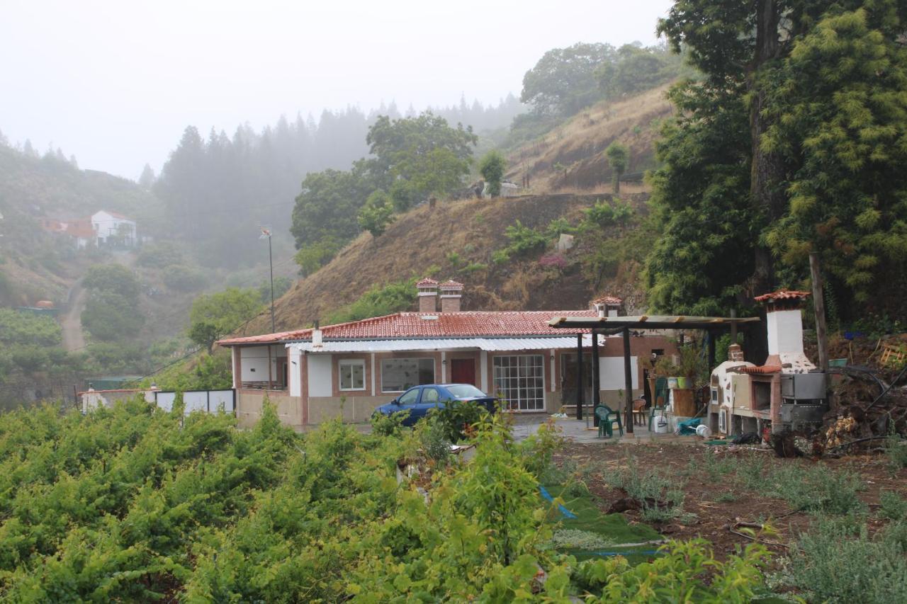 大加那利岛拉斯帕尔马斯Finca El Cole别墅 外观 照片