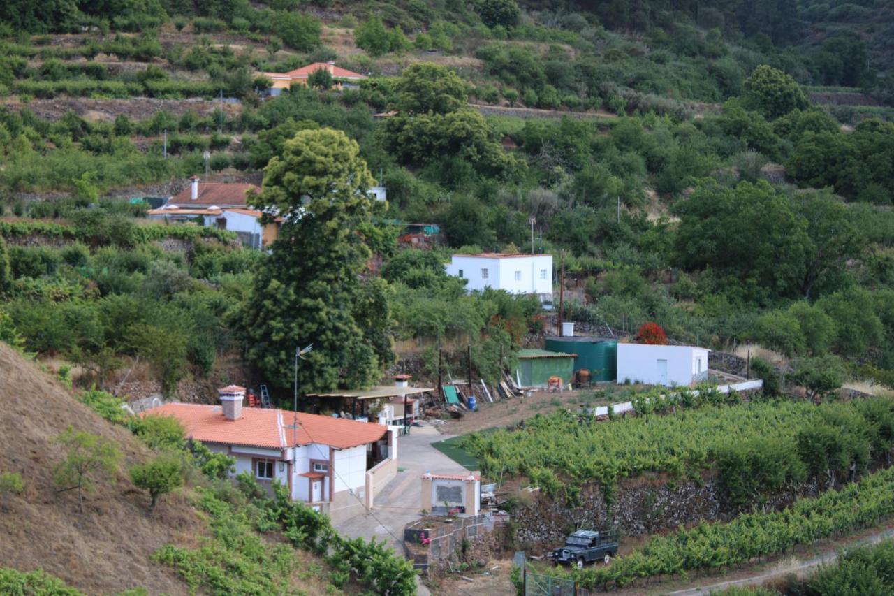 大加那利岛拉斯帕尔马斯Finca El Cole别墅 外观 照片