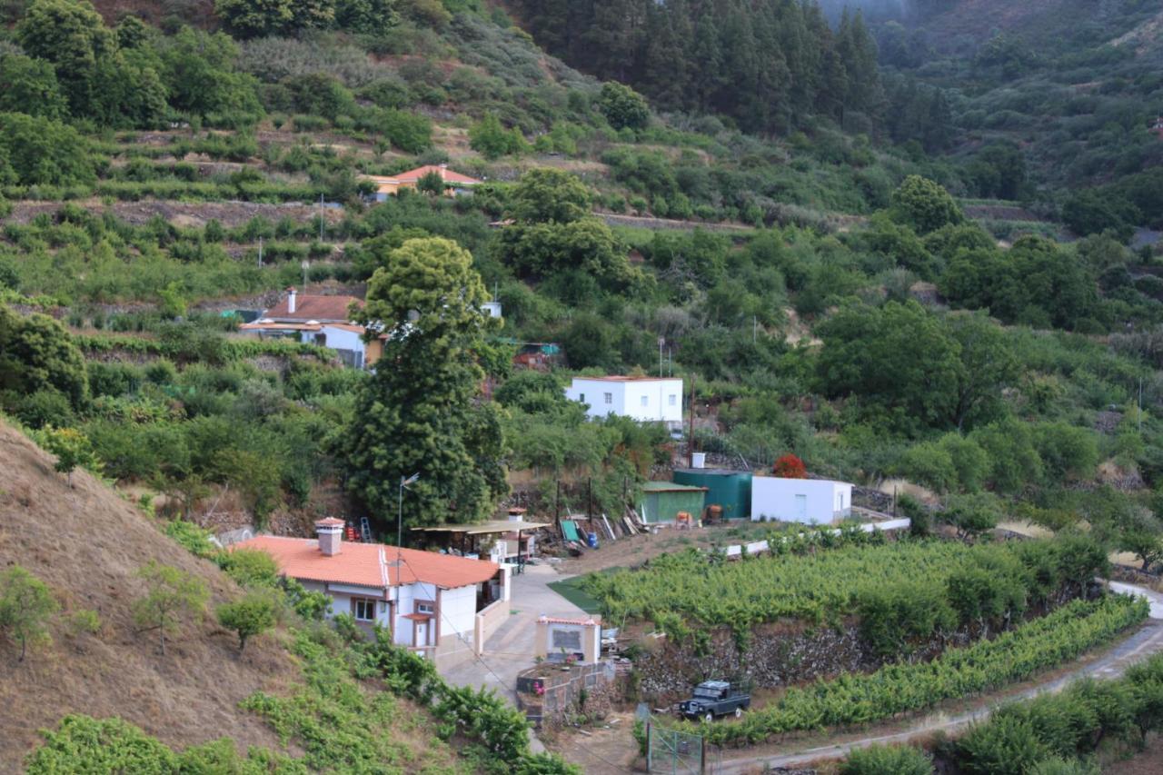 大加那利岛拉斯帕尔马斯Finca El Cole别墅 外观 照片